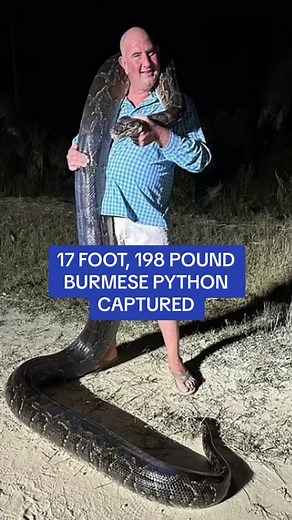 Daily Mail on TikTok