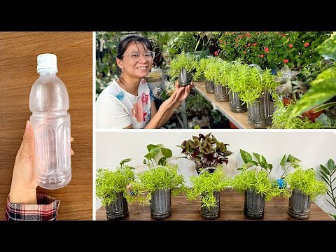 Creative Gardening: Turn Plastic Bottles into Super CUTE Plant Pots