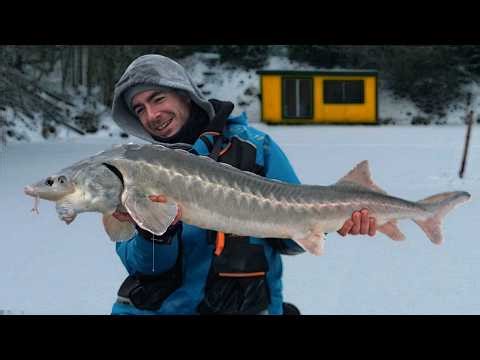 DUŻE RYBY na MAŁE WĘDKI z OLEŚNIKOWEJ DOLINY!