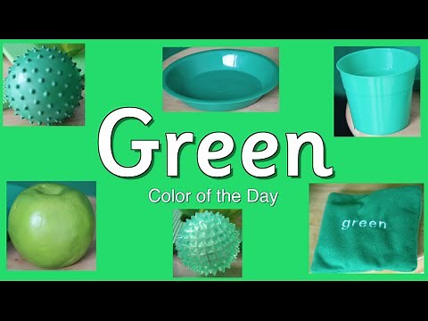 Green is the color of the Day Children's Song | Counting Song | Patty Shukla