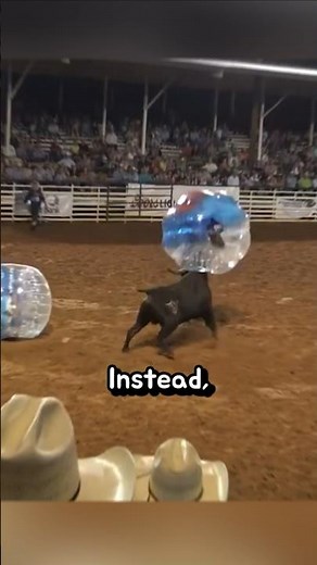 Soccer Against a Bull!