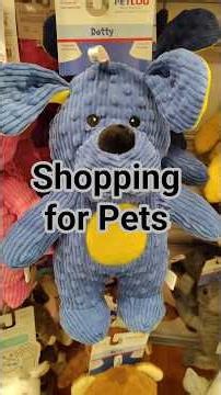 [No Talk] Shopping for Pets at TJ Max! Look at all the cute things!