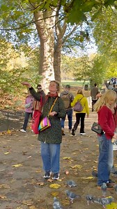 Feeding wild parakeets in London #London #stjamespark #parakeets | Marks London reels
