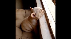 This Baby is so sleepy...Cuteness overload 💚💛💜💙 | World of Animals