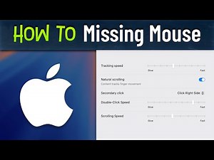 Mouse is Missing From the Settings Menu Mac [solved]