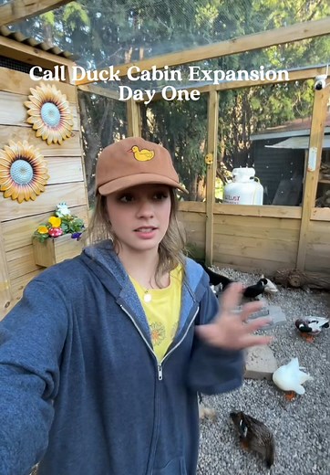 Building the Perfect Duck Coop for Pet Ducks