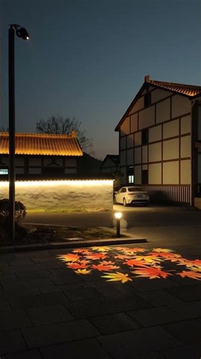 IP65 Gobo projector effect-Vtonlite Lighting Gobo Light