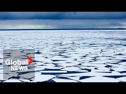 Antarctic sea ice melting faster than ever amid accelerating climate change effects, data shows