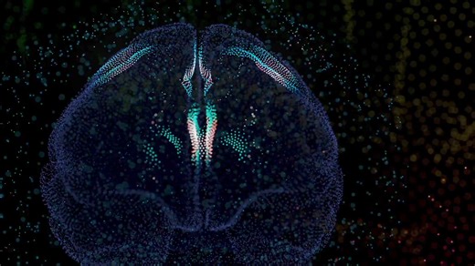 2.7K views · 11 reactions | SNT-INFORMATICA: ARTIFICIËLE...