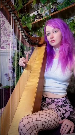 Melegie 🌙🦄 | here is a beautiful and lamenting traditional irish song called “Shule Aroon”. the irish title “Siúil a Rúin” translates to “go, my love”... | Instagram