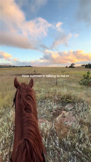 Exploring Summer Horse Riding in Wyoming