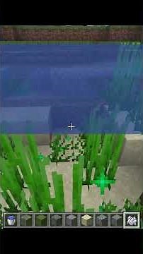 EASY Minecraft Pond tutorial!