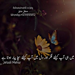 Words 👌💔 | Pulse360 Pakistan