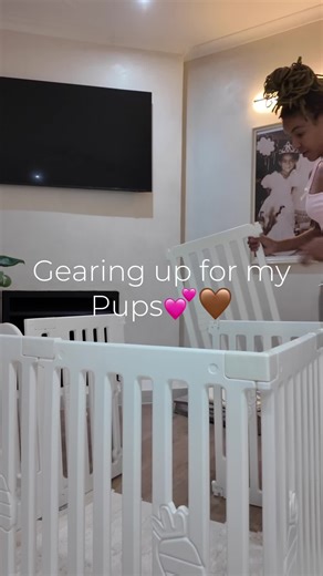 Preparing for My New Puppies: Play Pen Setup