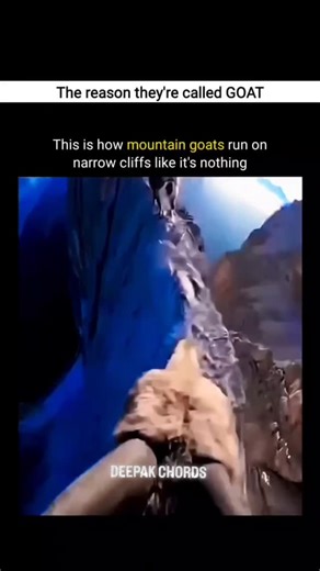 The world Goals and Europe   #trending #viral #explore #deepak #chords | Deepak Chords | Facebook