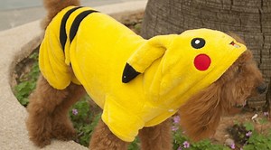 Star Wars, Pokemon top list of most popular pet Halloween costumes | Lifestyle