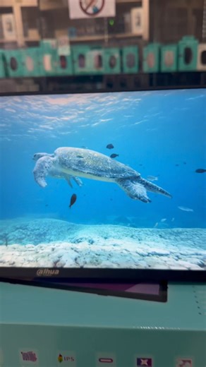 DAHUA 15.6" FULL HD PORTABLE MONITOR [DHI-PM16-F201P] (IPS PANEL / 60HZ REFRESH RATE / TYPE-C & HDMI CONNECTION) ✅ Display: 15.6-inch IPS panel ✅ Resolution: 1920 × 1080 (Full HD) ✅ Refresh Rate: 60Hz ✅ Response Time: 6 ms ✅ Brightness: 250 cd/m² ✅ Contrast Ratio: 800:1 ✅ Color Support: 16.7 million colors ✅ Color Gamut: 45% NTSC ✅ Viewing Angle: 178° (vertical and horizontal) ✅ Color Depth: 8-bit ✅ Aspect Ratio: 16:9 Connectivity & Features ✅ Ports: 2 × USB Type-C 1 × HDMI 1 × 3.5mm Audio Out ✅