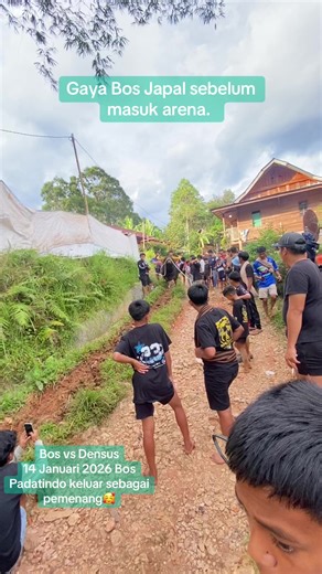 #kerbauviral🐃 #arenatedongsilaga #bospadatindo