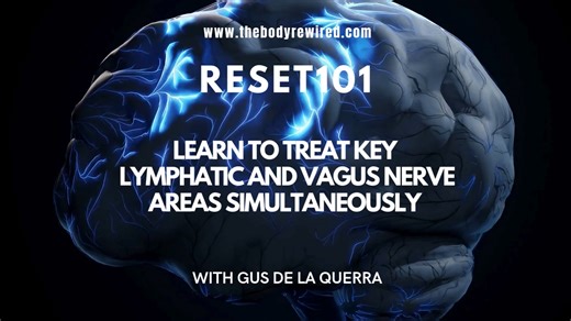 Integrated Vagus Nerve and Lymphatic System Approaches for whole-body health — For Practitioners