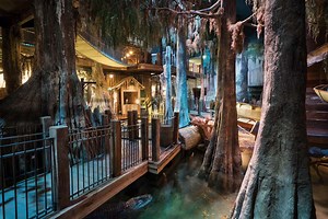 Ecosystem Exploration: Swamp | Wonders of Wildlife