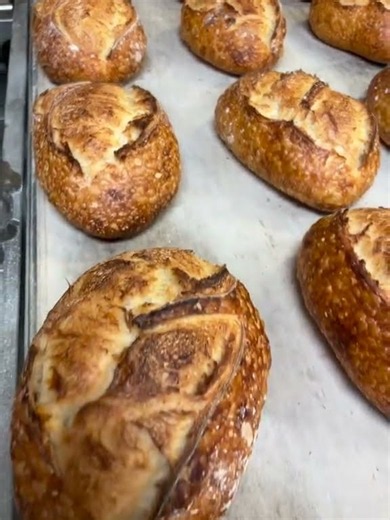 Made a special batch of Cbus sourdough and rustic Italian for... #Shorts #dantheebaker
