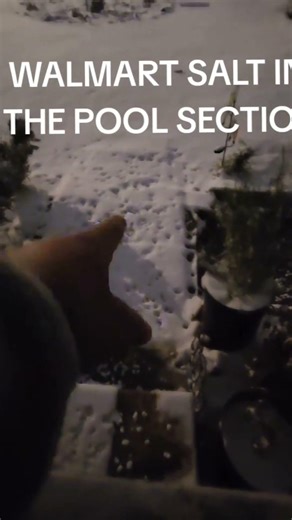 Walmart salt melted the snow fast