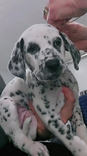 BAER Testing Results Are In!  (normal speed) We completed the...