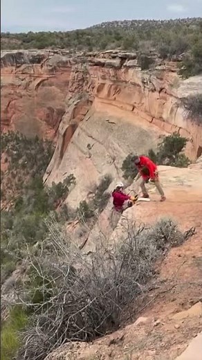Dog rescued after falling off cliff in Colorado at National Monument