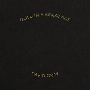 10K views · 577 reactions | The brand new album Gold In A Brass Age is out now. Listen to the full album here: https://davidgray.lnk.to/goldinabrassageFa | David Gray | Facebook