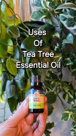 4.1K views · 514 reactions | Tea tree essential oil is one of the...