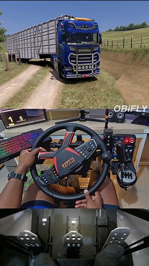 cattle hauler 💪🏼🚛#EuroTruckSimulator2 #steeringwheel | OBiFLY