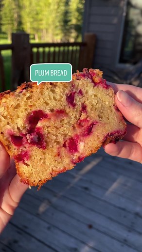 Delicious Plum Bread Recipe for Casual Baking Enthusiasts