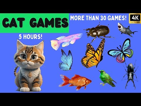 Fun Cat Games [5 HOURS in 4K] - With Bugs, Spiders, Mice, Rope, Butterfly, Bird...🐦🐿️ 🐁🪳🪢