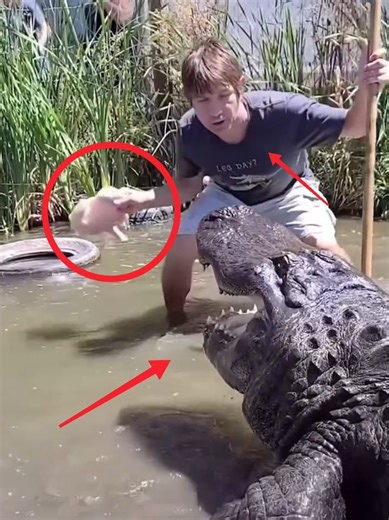 🔥 Crazy moments with monkeys… unbelievable, breath-taking scenes! 🐒😱 | Factora Stories