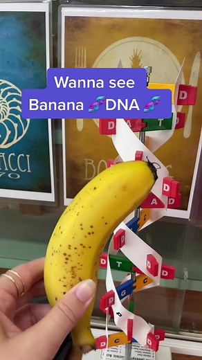 🅿️ractical on DNA🧬 #biology #howto #class #dna #experiment #foryou | dna