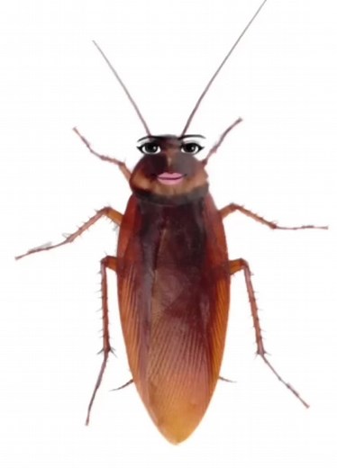 Cockroach burping❤️🪳 #cockroach🪳 #fypシ #burping #avatarify #viral #copylink #follow #burpingcockroach #roblox #cutie