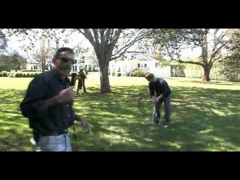 Deep Root Feed Long Island Tree Service