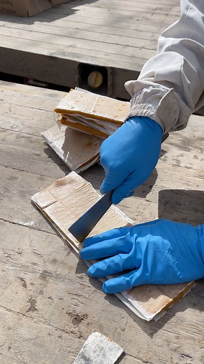 94K views · 698 reactions | Protein patties 02: Preparing the patties to feed the bees  #fypシ #canada #bee #honey | Beekeeper in Canada | Facebook