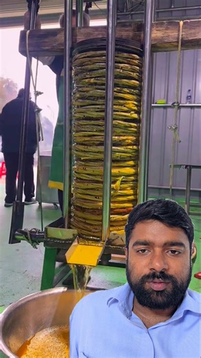 Traditional Wooden Oil Mill 🌾 Pure Organic Oil!