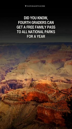 1M views · 7.3K reactions | Fourth graders can get a free family pass...