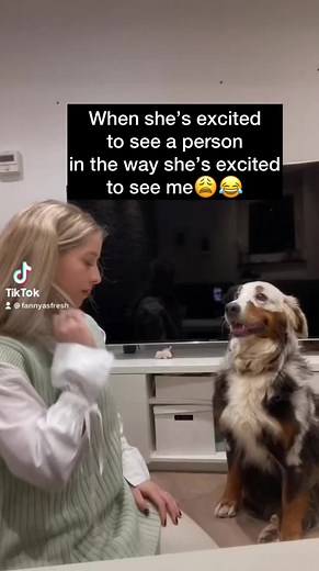 Excited Dog Welcoming A Loved One Home
