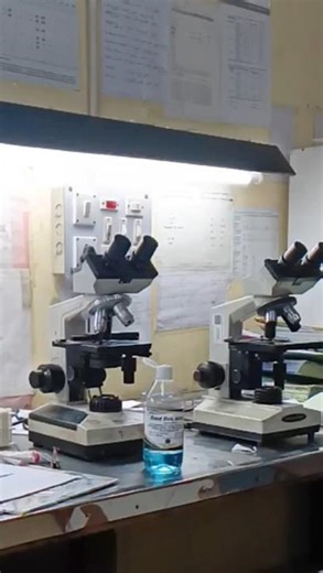 practical time microbiology lab 🧫🧪🦠