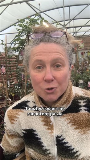 Jardinerie du Cardonnoy Delbard Aumale on Instagram: "🌹 Rosiers à part Il existe des rosiers que l’on guide que l’on taille que l’on met en scène comme une sculpture au jardin Et puis il y a ceux que l’on laisse vivre. Le rosier pleureur c’est un rosier grimpant greffé sur une tige pensé pour retomber pour dessiner une forme pour créer une silhouette Le Rosa rugosa lui est libre robuste résistant au vent au froid aux maladies Il offre des fleurs simples très parfumées Il drageonne il donne de g