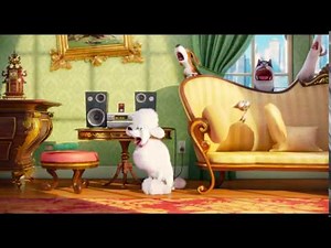 The Secret Life of Pets: "Poodle Bumper" :06 (8 de Julio)