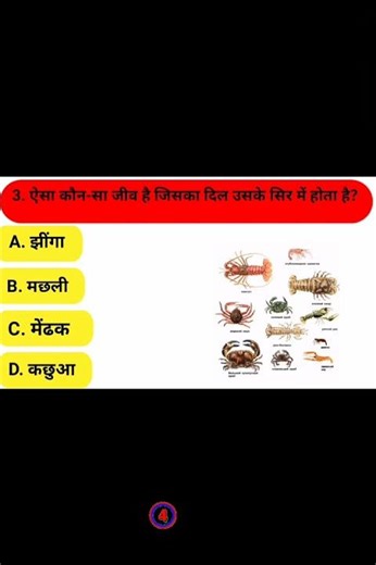 Part 2 ‪|| GK Question || GK In Hindi || GK Questions and Answers || GK Quiz || @Golden_Story_Time‬