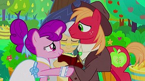 Sugar Belle's Heartwarming Journey in My Little Pony