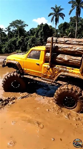 Logging Adventure: RC Style! 🪵🌲