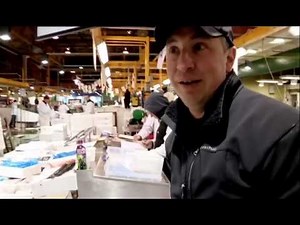 The difference between pollock and cod