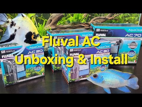 Fluval AC20 Unboxing and installation Part 2. How to install hang on the back filter. #aquarium