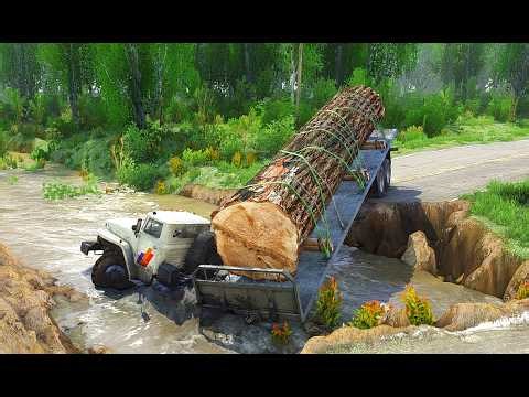 The Hidden Dangers of Logging Routes EXPOSED in 2025